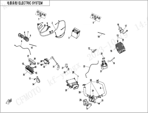 electric system