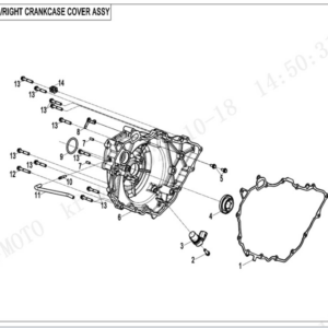 Right crankcase cover CFORCE 850