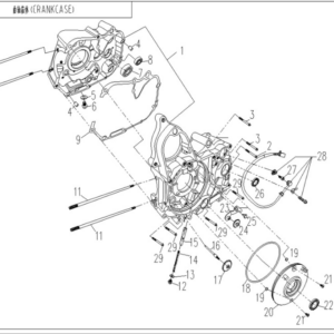 Crankcase cforce 110