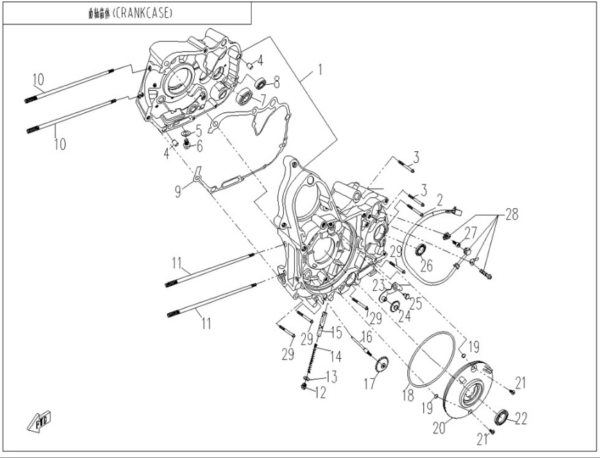 Crankcase cforce 110